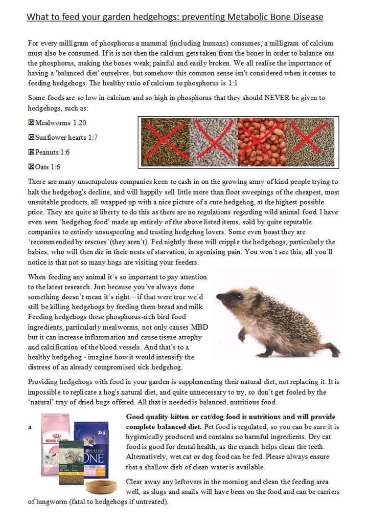 FB_IMG_1595760303691