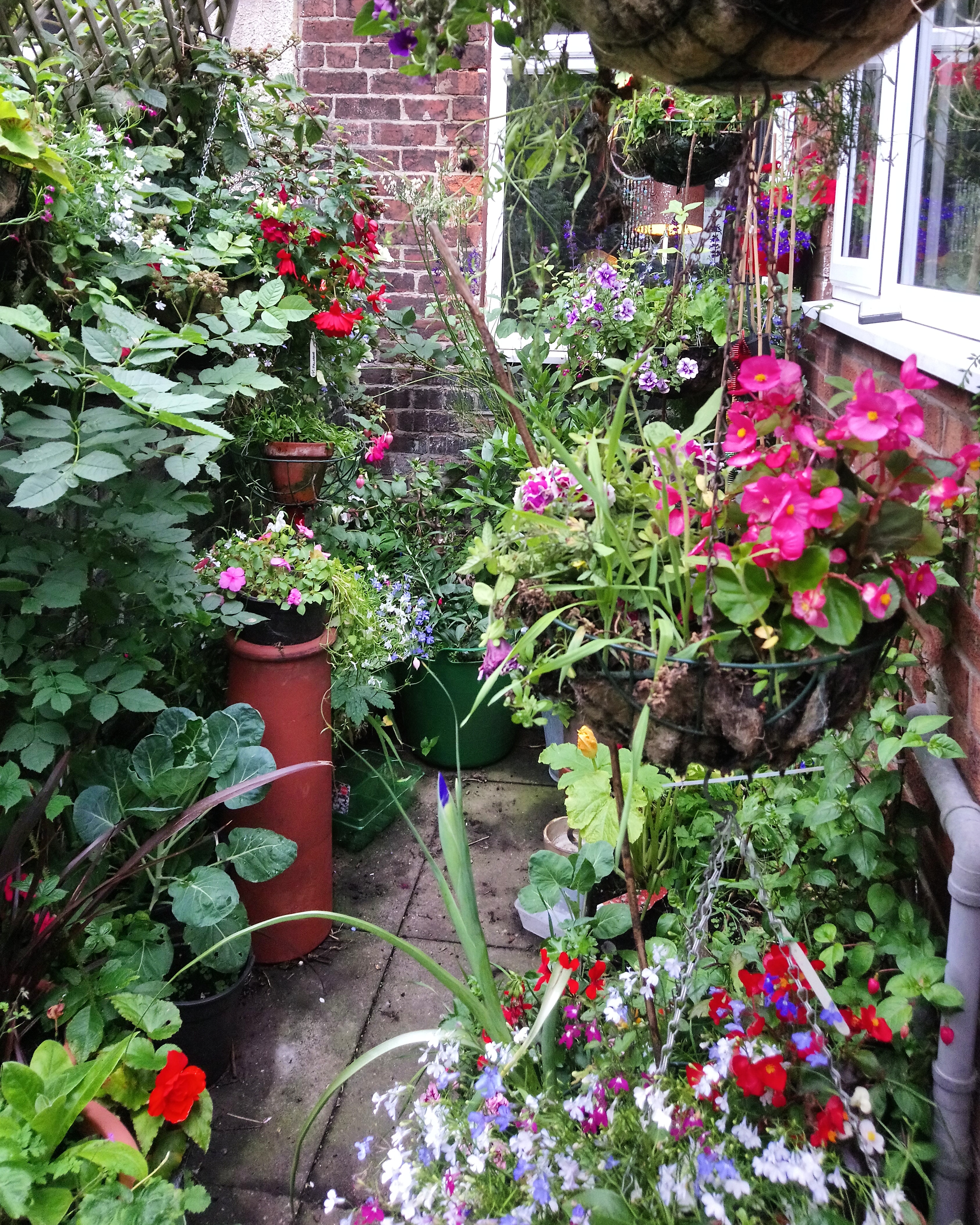 IMG_20200715_210913_045