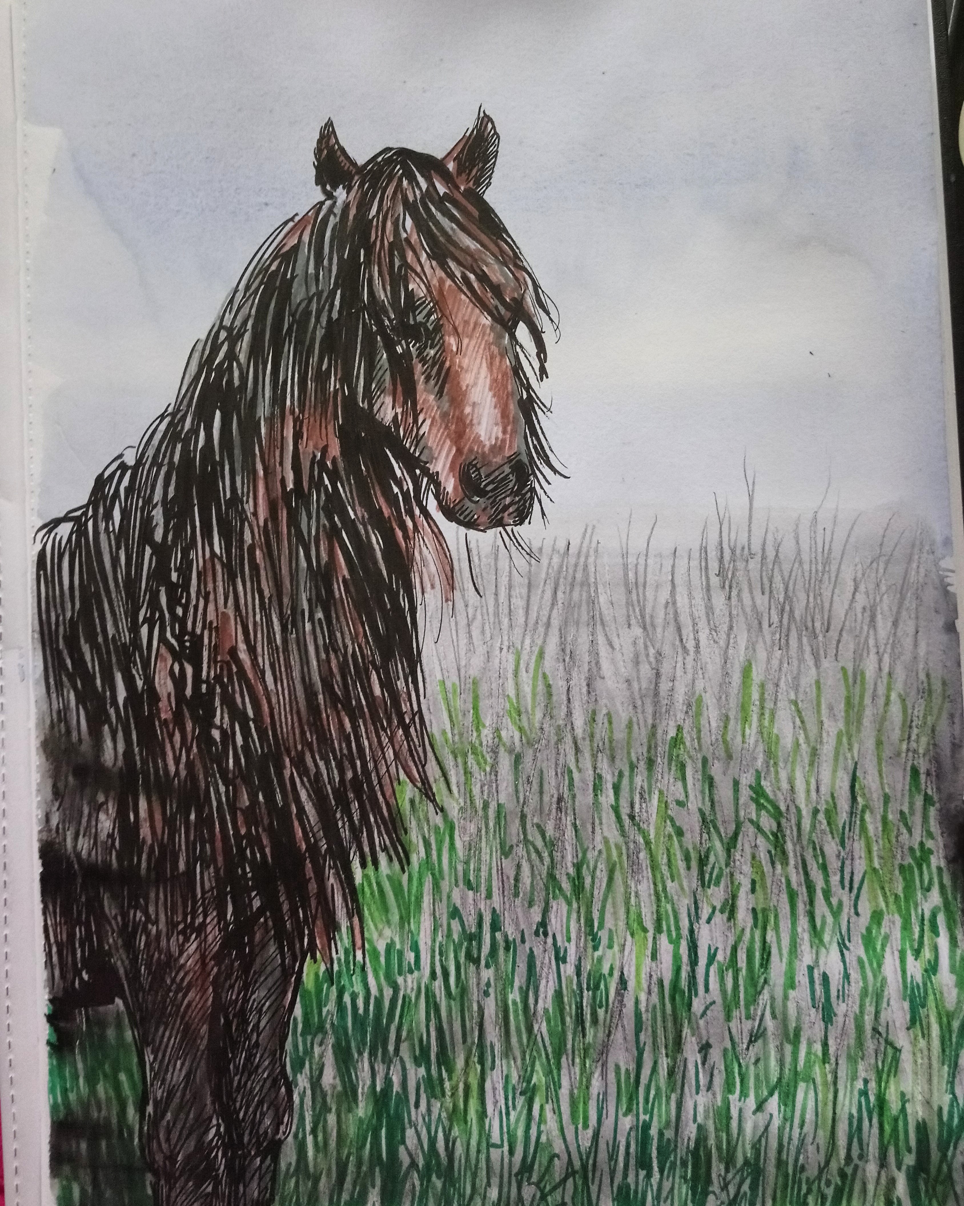 IMG_20200725_145939_277