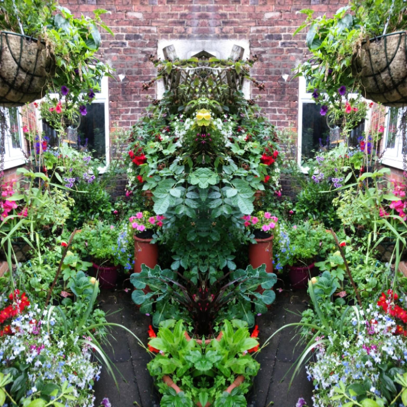 IMG_20200727_231437_277