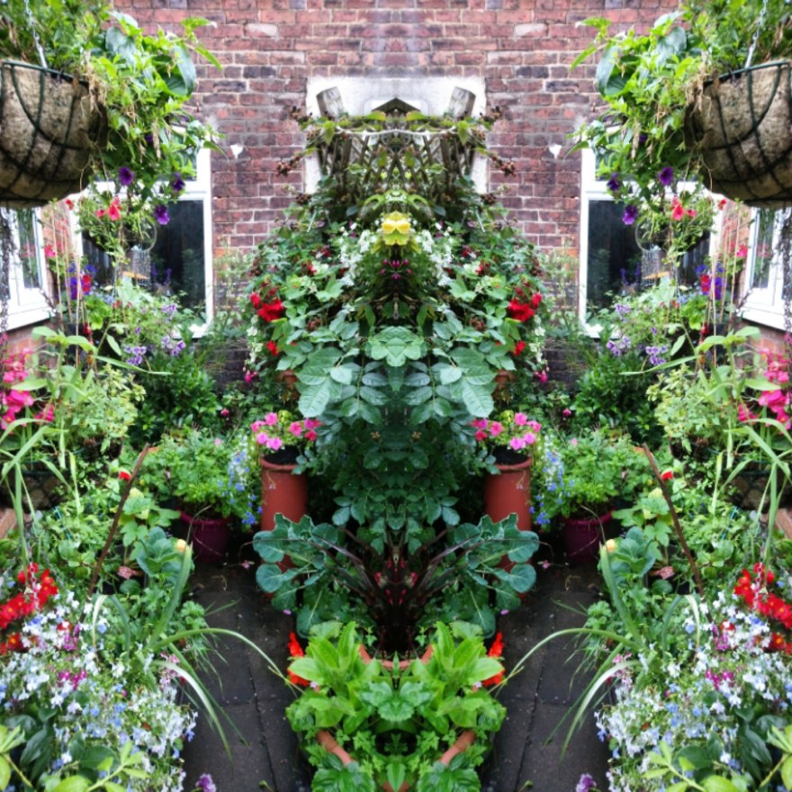 IMG_20200727_231437_277