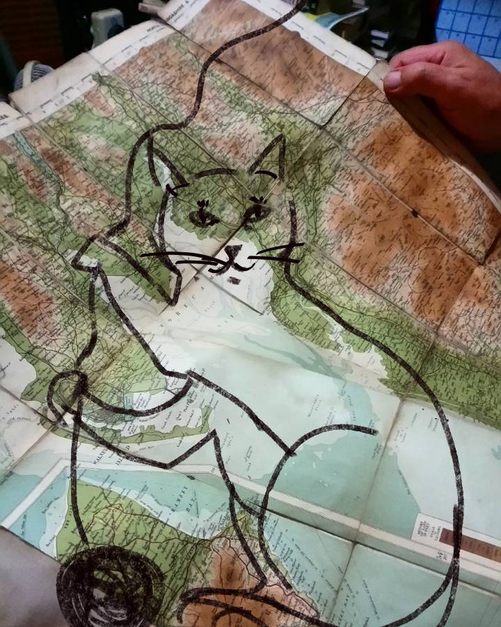 sketch-1594487524505