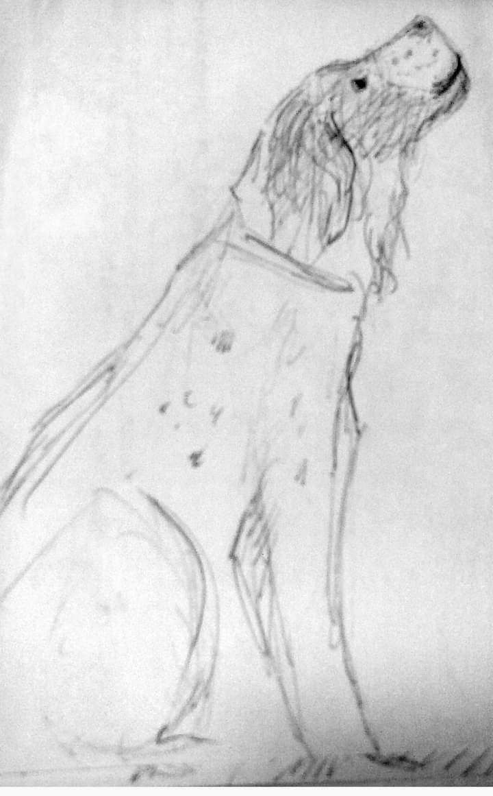 FB_IMG_1596810624643