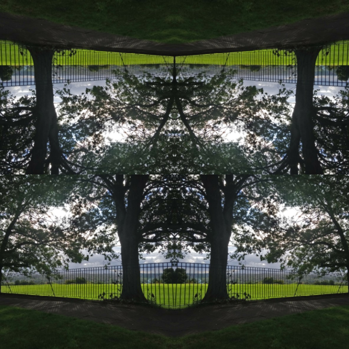 IMG_20200730_000505_optimized