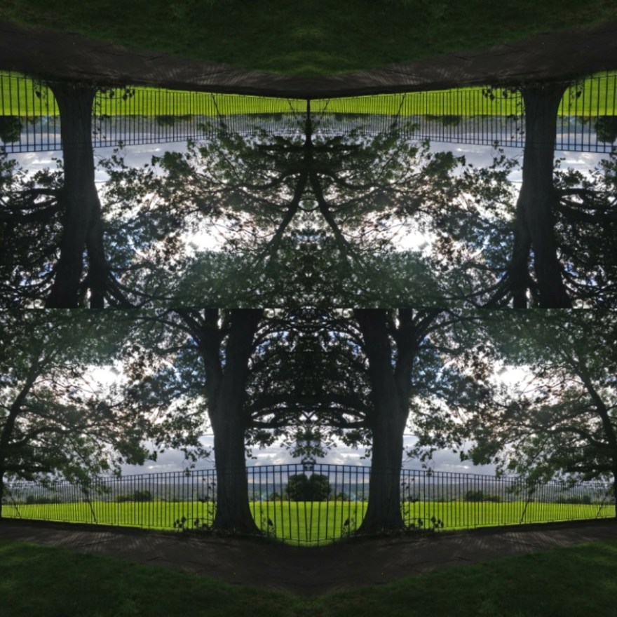 IMG_20200730_000505_optimized