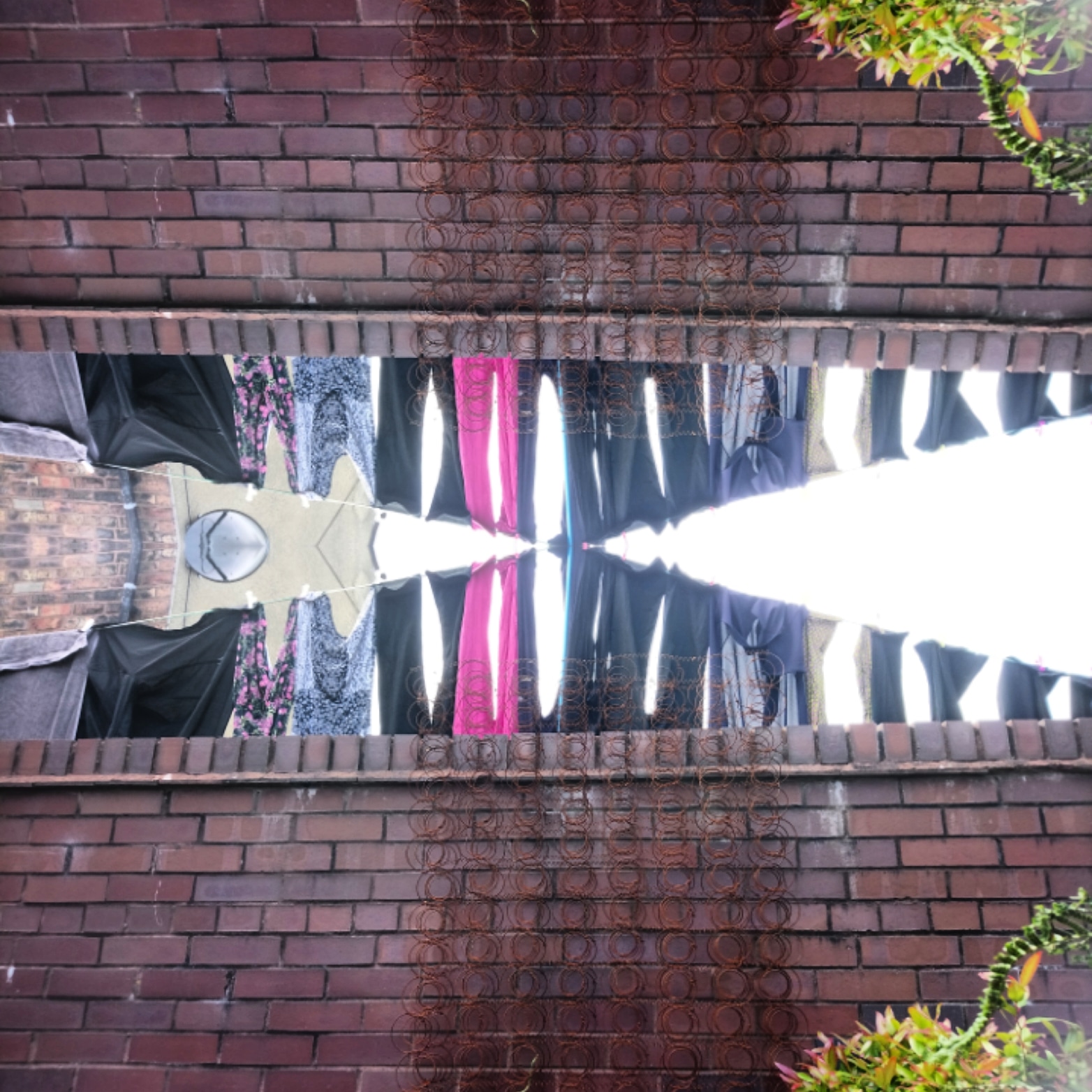 IMG_20200807_230247_639