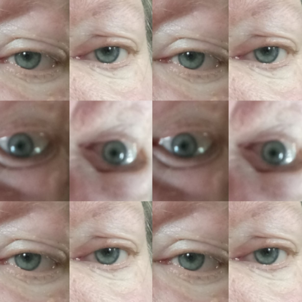 IMG_20200809_115427_optimized